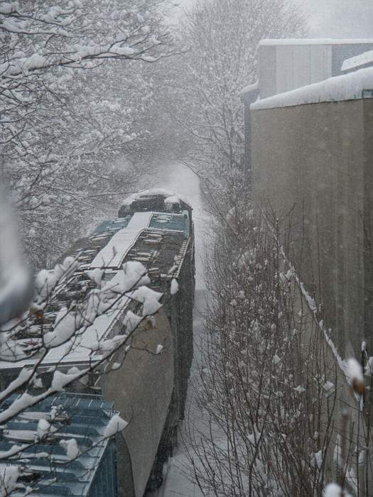 Photo of Watertown Branch turn heads back in heavy snow