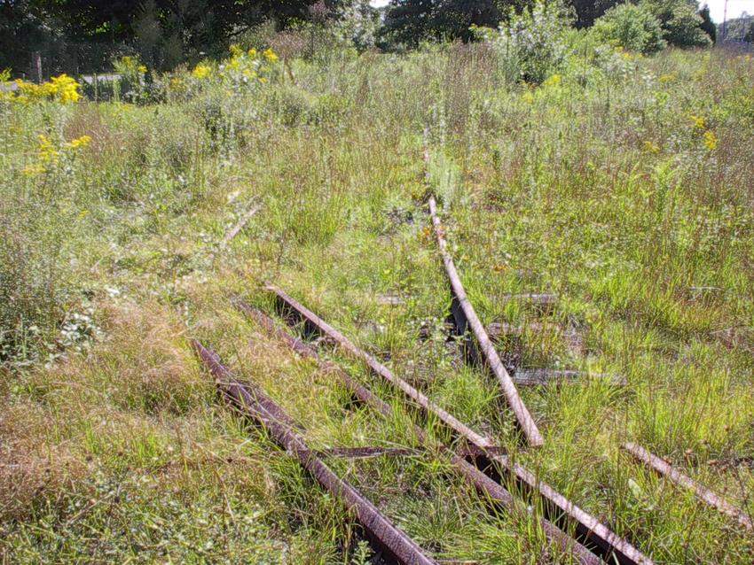 Photo of Rail from Narragansett Pier Railroad, Kingston, RI