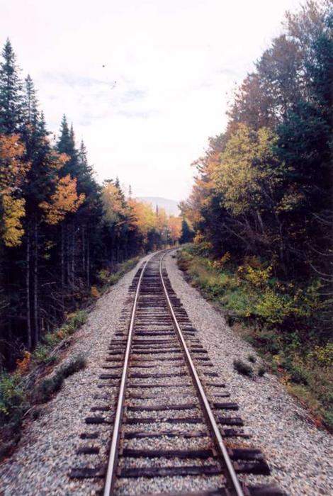 Photo of Conway Scenic Railroad Tracks