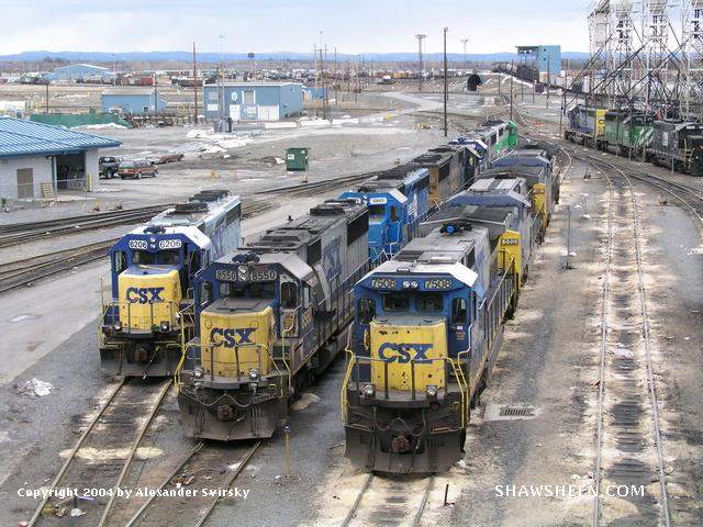Photo of Assorted CSX power lined up at Selkirk.