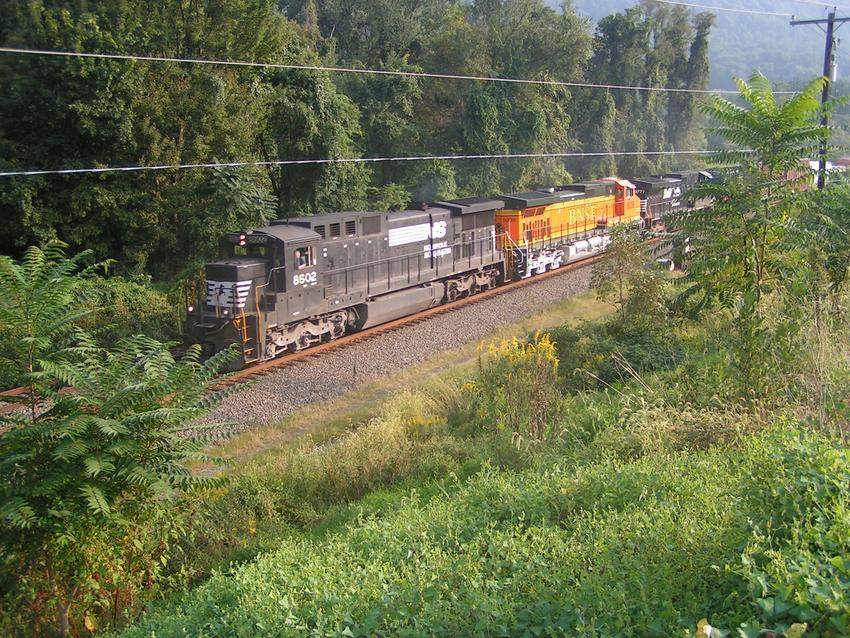 Photo of NS 8602 leads BNSF5039 & NS 9777 on the NS Buffalo Line