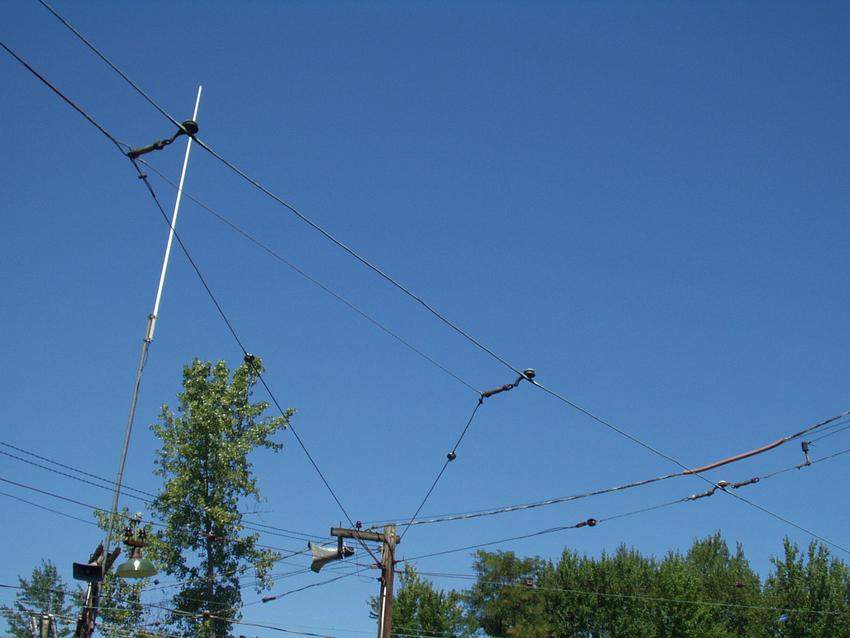 Photo of Power poles
