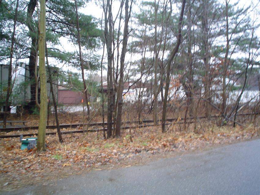 Photo of Former NH tracks poking through the woods