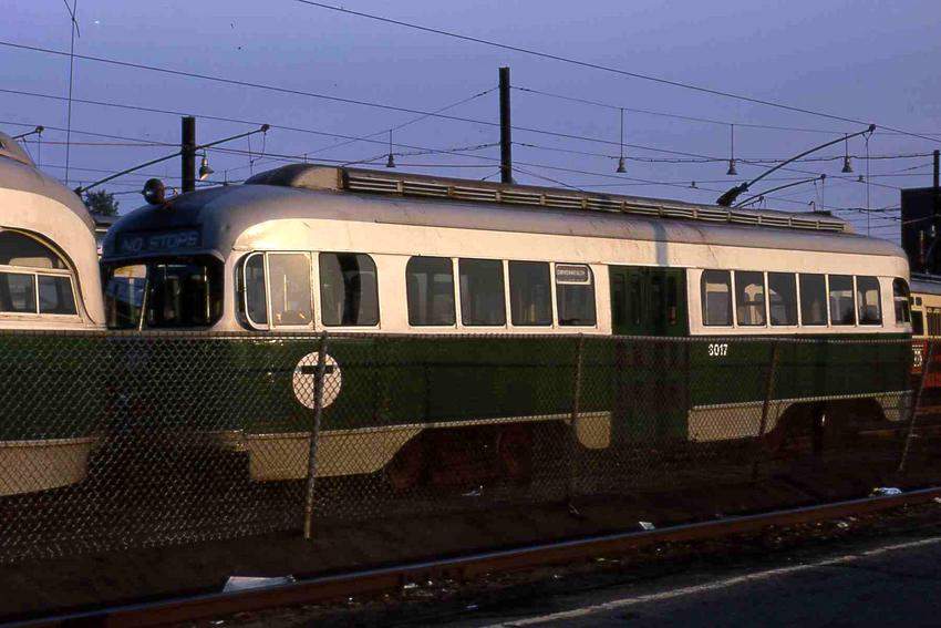 Photo of PCC 3017 in Green & Cream colors