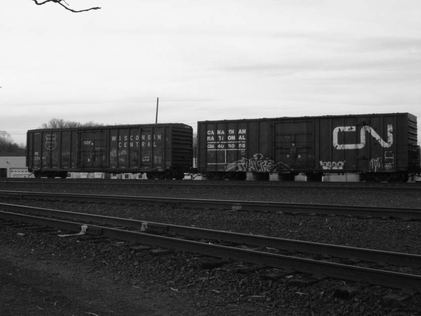 Photo of CN Rail and Wisconsin Centeral box cars