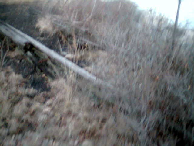 Photo of Remains of the old Wiscasset Trestle # 2