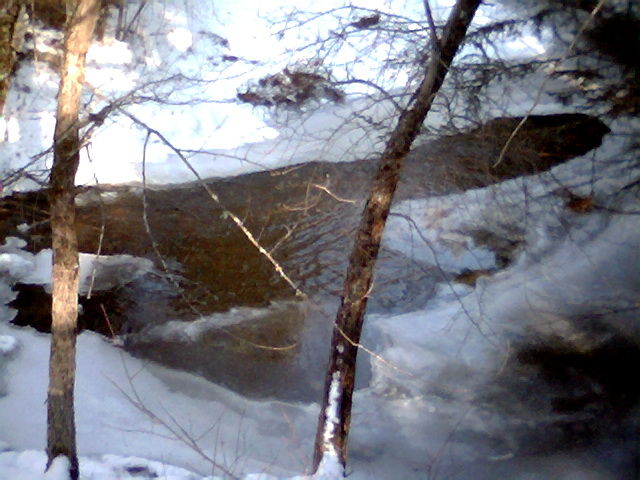 Photo of Veiw of Trout Brook