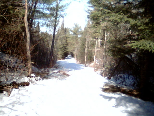 Photo of Looking North, towards Trout Brook