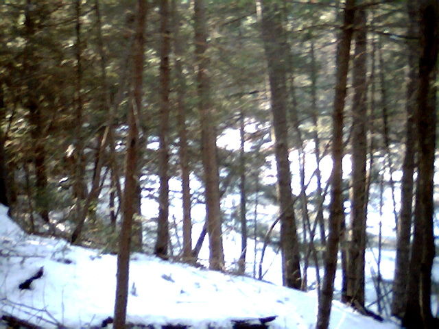 Photo of Trout Brook