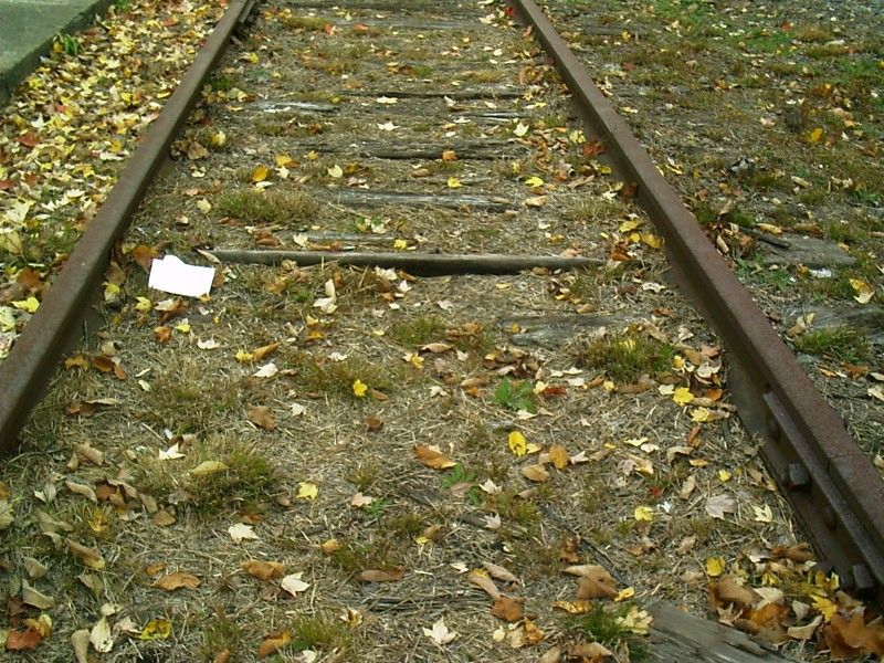 Photo of Old Ghost Train Tracks