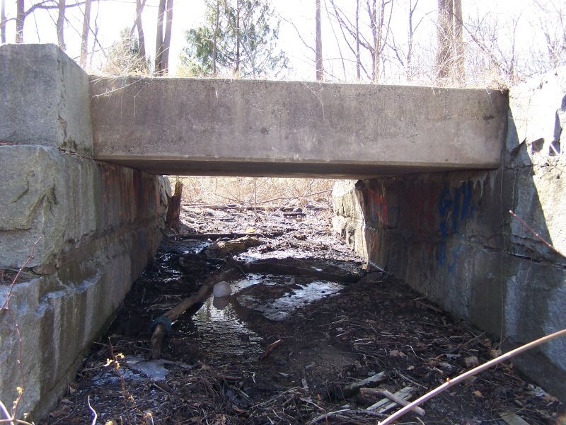Photo of Cow Tunnel under the M&L Branch, Salem, NH