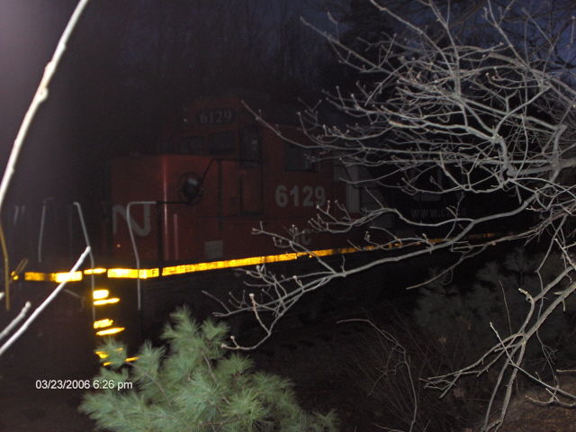 Photo of My 100th Photo!! CN 6129 in the woods