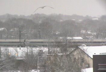 Photo of South Bound Amtrak Snowy Day in March