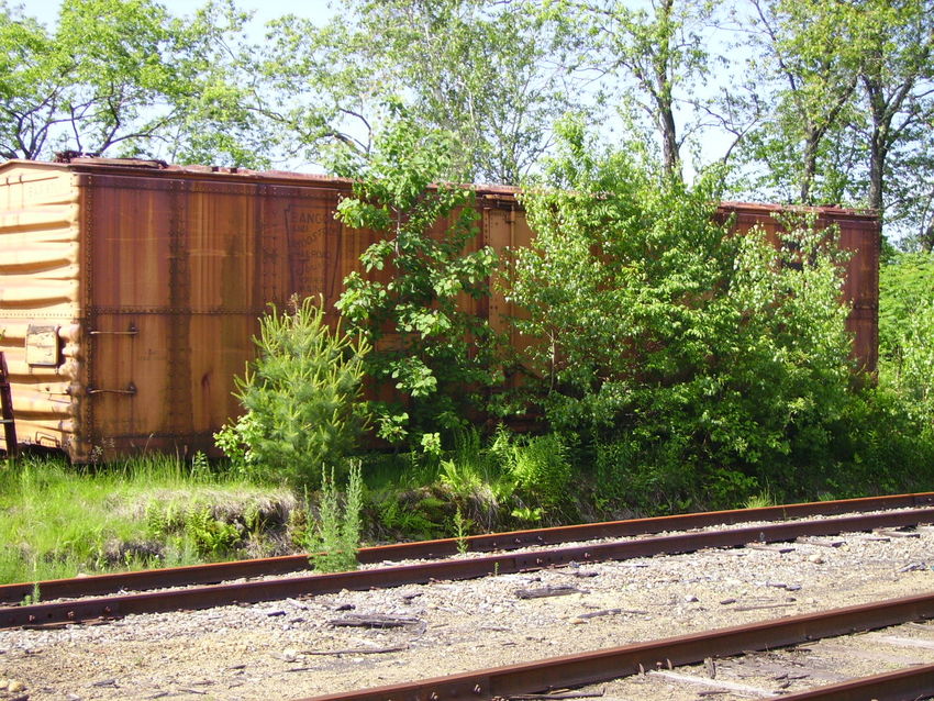 Photo of Old carshed