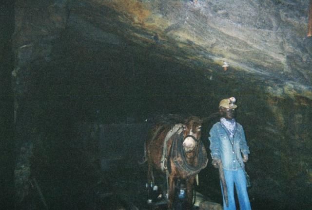 Photo of Lackawana Coal Mine mule boy
