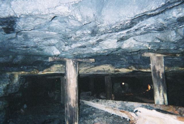 Photo of Lackawana Monkey Coal