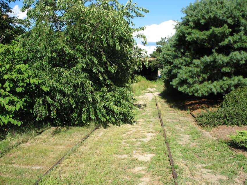 Photo of Stoneham Branch approach to tunnel under Route 93