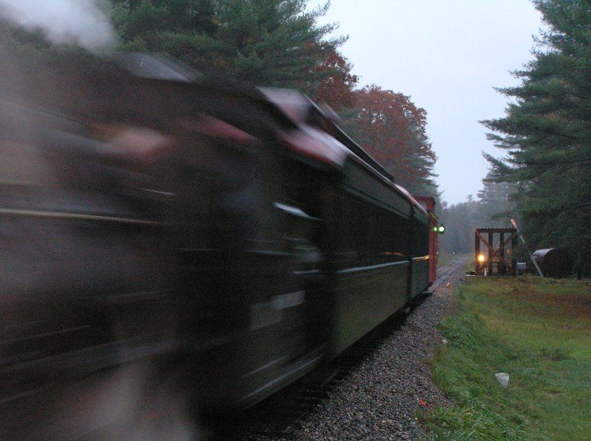 Photo of Halloween Train Leaves
