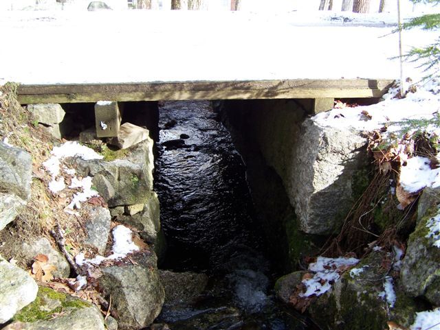Photo of Small Bridge on the Harrison Branch