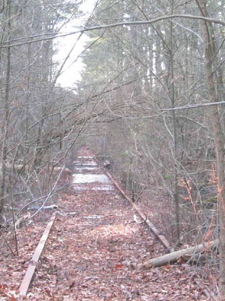 Photo of Fairhaven Branch Looking South from the Paper Mill Road Crossing