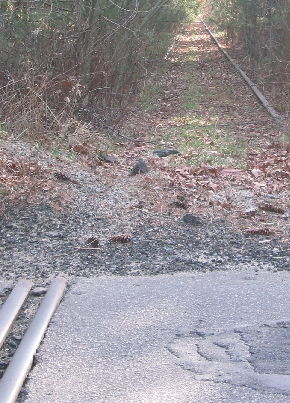 Photo of Fairhaven Branch Looking South from the Fearing Hill Road Crossing