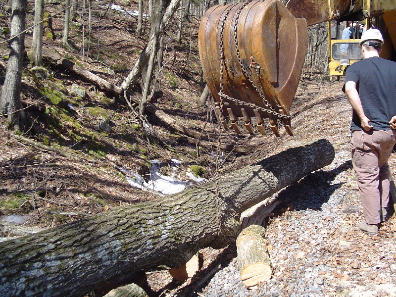 Photo of Gradall Lifting Log