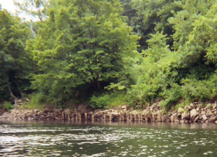 Photo of Old Pilings along the Northern
