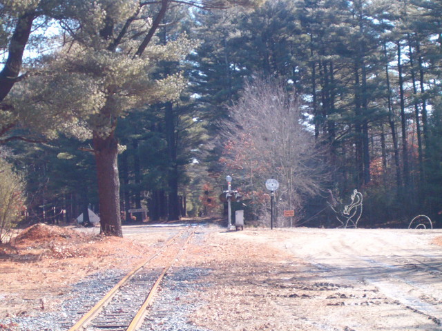 Photo of Looking towards pine grove