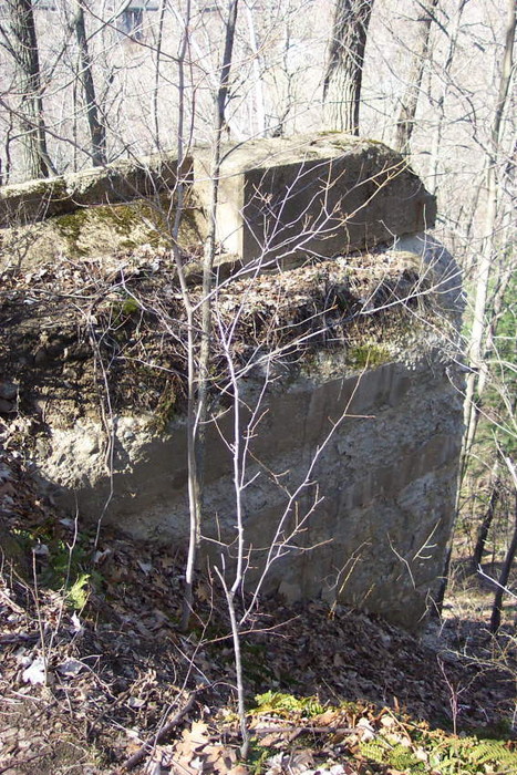Photo of Southern New England Ry. Trestle Ruins