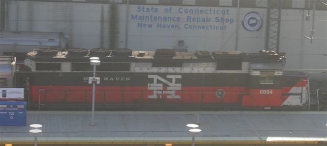 Photo of SLE in NewHaven Ct