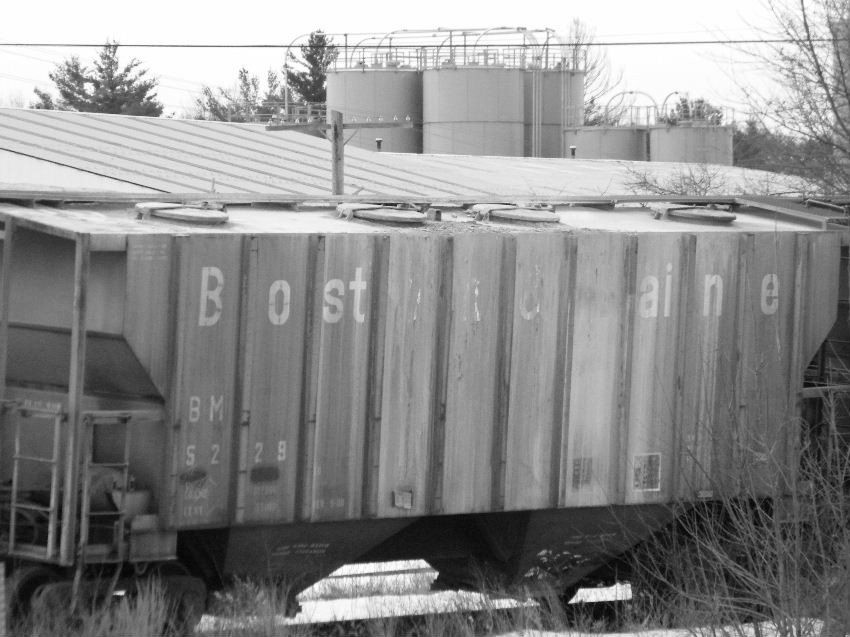 Photo of Boston and Maine covered hoppers