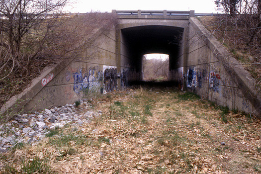 Photo of NPRR tunnel, never used...1998