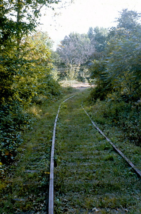 Photo of Fletcher's track to the 