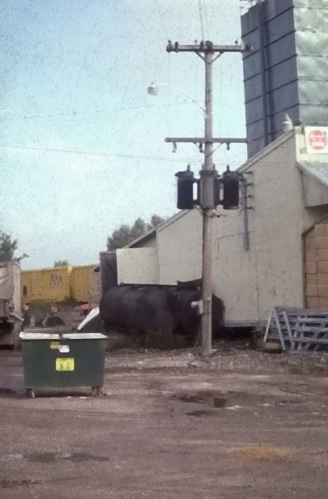 Photo of Leicester Jct Feed Store