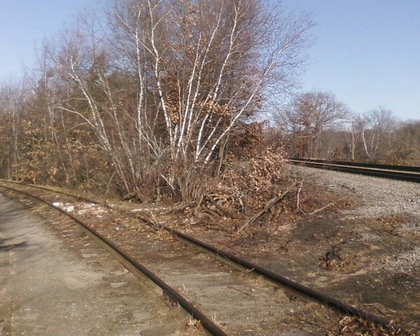 Photo of Remnants of an Abandoned Spur
