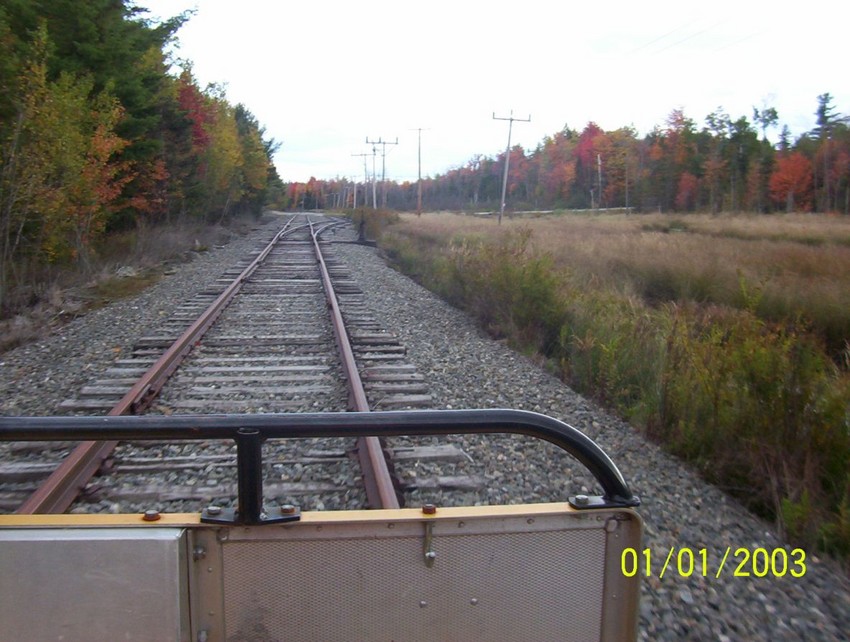 Photo of Riding the rails.