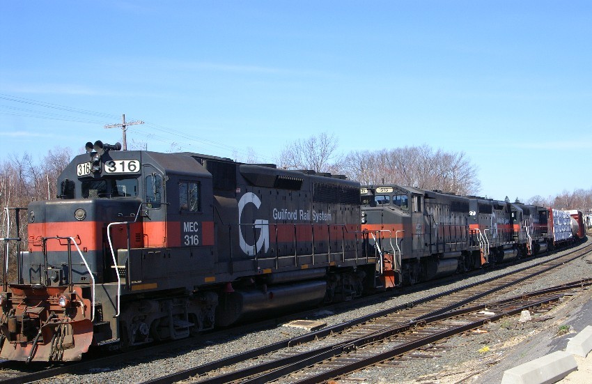 Photo of GRS 316 leads in Gardner
