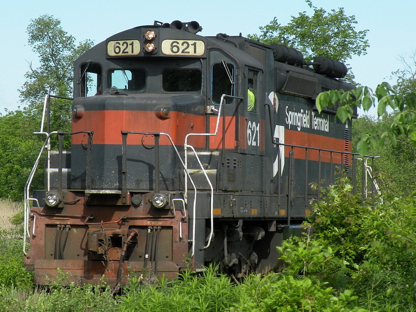 Photo of ST 621 in the weeds