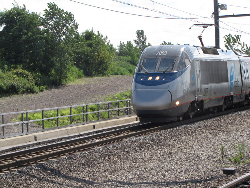 Photo of Acela flying past Secacus Junction