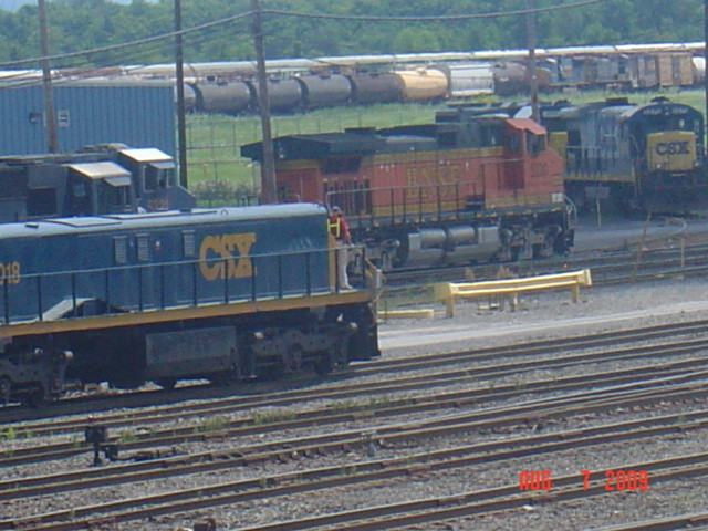 Photo of A lone BNSF unit in selkirk