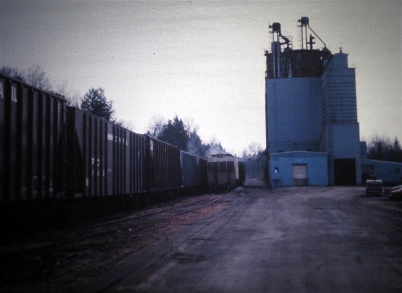 Photo of Grain Cars At Thorndike