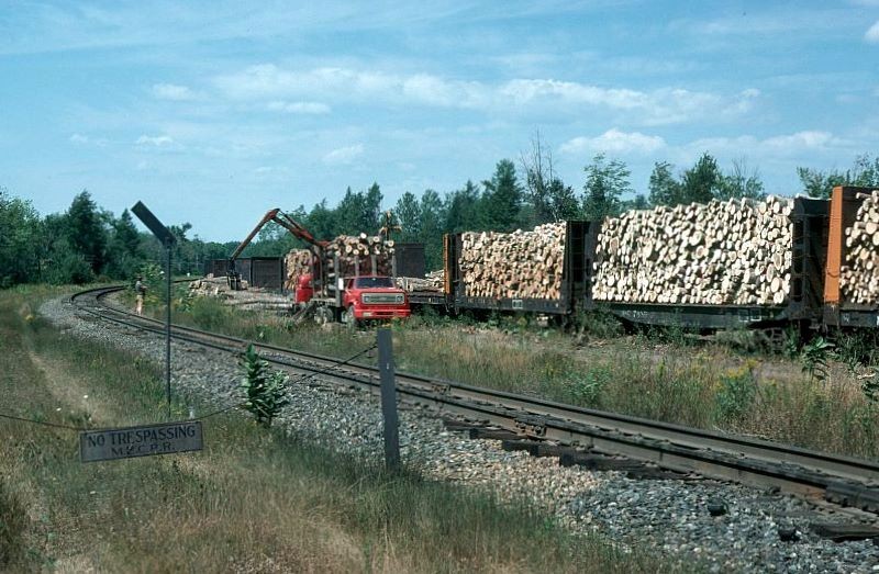 Photo of Pulp Wood Loading