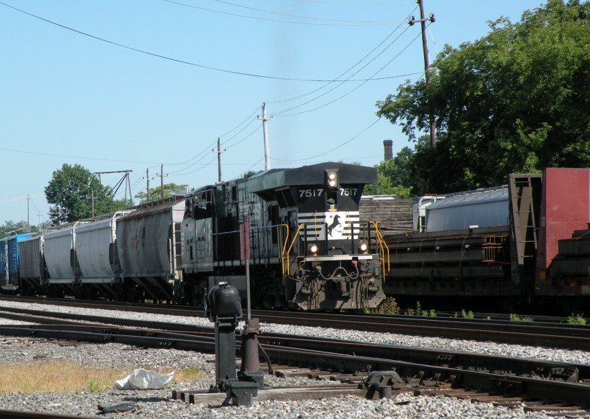 Photo of NS in Lowell-1