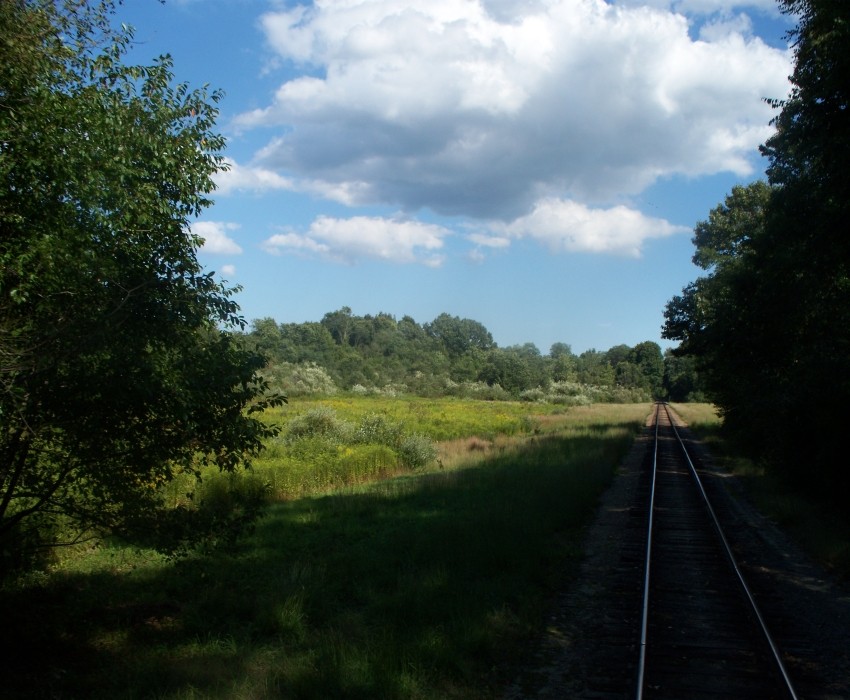 Photo of North end of the Meadow