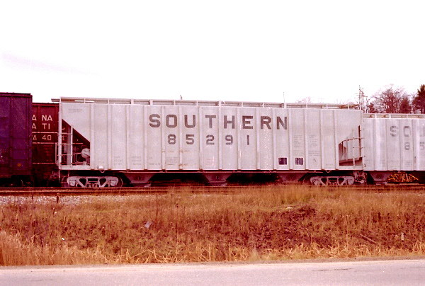 Photo of Southern hopper