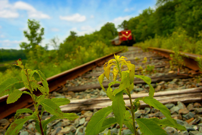 Photo of BML#53 approaching some rail plant life near the old 