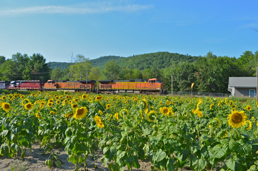 Photo of Grain Train at Charlemont, MA