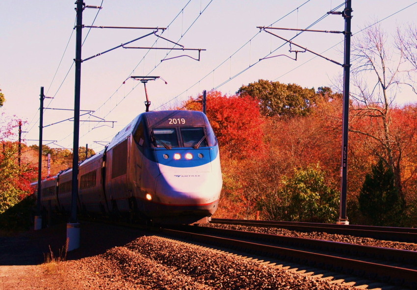 Photo of Acela through the Great Swamp
