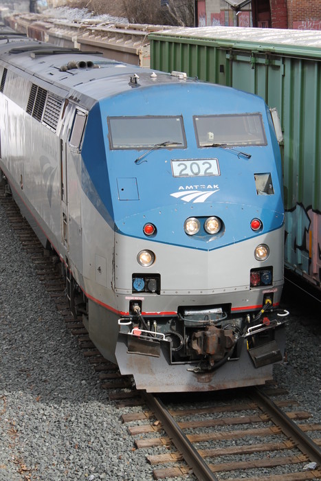Photo of Amtrak P42DC #202