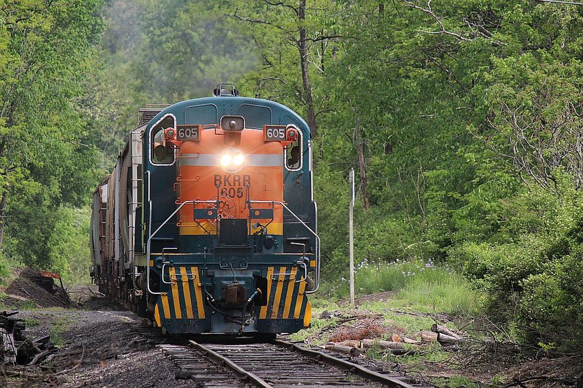 Photo of Batten Kill Railroad -- Tuesday May 28,  2013